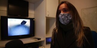 Malena Galmarini supervisó operativo de Inspección de Ríos Subterráneos con buzos y un minisubmarino de AySA en la zona norte