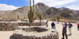 Para realizar turismo interno hay que llenar un formulario