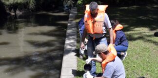 Continúan los estudios en el Delta de Tigre para investigar el estado de las floraciones de cianobacterias