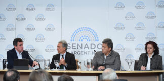 Industria Automotriz: El presidente de ADEFA expuso en el Senado