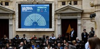 Diputados aprobó crear un Registro de Deudores Alimentarios y el alivio en Ganancias para los ingresos de médicos cuando superen cuatro guardias mensuales