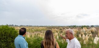 Malena Galmarini sobre la alcaldía en Dique Luján: “Gracias al trabajo en conjunto con los vecinos y vecinas pudimos frenar esta locura”