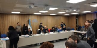 Polémica por la ausencia de Cifelli en la Comisión de Cultura de Diputados