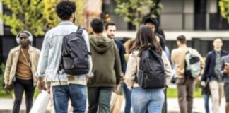 Día mundial del peatón: el rol de las cámaras en la prevención de accidentes