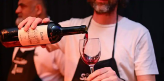 Se realizó el 7° Encuentro de Productores Vitivinícolas de la Provincia de Buenos Aires en Malvinas Argentinas