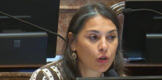 “Esperemos que los jueces empiecen a interpretar el código penal”,dijo Lucila Crexell