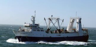 Alarma en la pesca nacional por la suba de aranceles a las exportaciones hacia EEUU