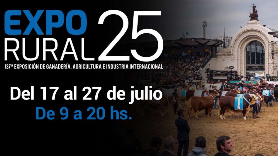 WhatsApp Image 2025-07-17 at 16.27.31