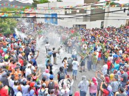 Todo el mes se celebra en Chilecito el Festival de la Chaya en el Oeste Riojano; del 1 al 28 de febrero, con entrada gratuita