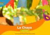 La Chaya: una fiesta ancestral que une al pueblo riojano