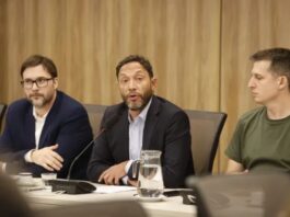 Puntos centrales sobre el caso $Libra