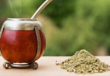 Llega el Mundial de la Yerba Mate 5, 6 y 7 de junio de 2026 Museo del Mate