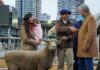 Llegaron Tim Payne, Tini Tini y De Paul a la Expo Rural 26