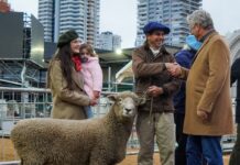 Llegaron Tim Payne, Tini Tini y De Paul a la Expo Rural 26