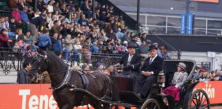 Los carruajes llegaron a la pista de Palermo: “Es mantener una tradición y el recuerdo de acompañar a mi papá al puerto a caballo”, dice el carrero José Luis Domínguez