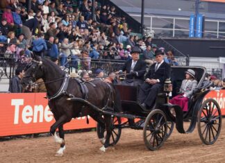 Los carruajes llegaron a la pista de Palermo: “Es mantener una tradición y el recuerdo de acompañar a mi papá al puerto a caballo”, dice el carrero José Luis Domínguez