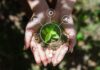 Tierra, agua y poder en la era de la inteligencia artificial