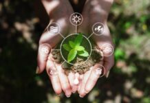 Tierra, agua y poder en la era de la inteligencia artificial