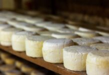 Queso y Vino, sabores con altura en Tucumán