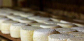 Queso y Vino, sabores con altura en Tucumán